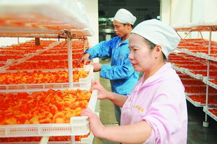 桂林农产品深加工富一方农与企 仍有难题需解决